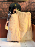 mulchanderi unstiched salwar suits